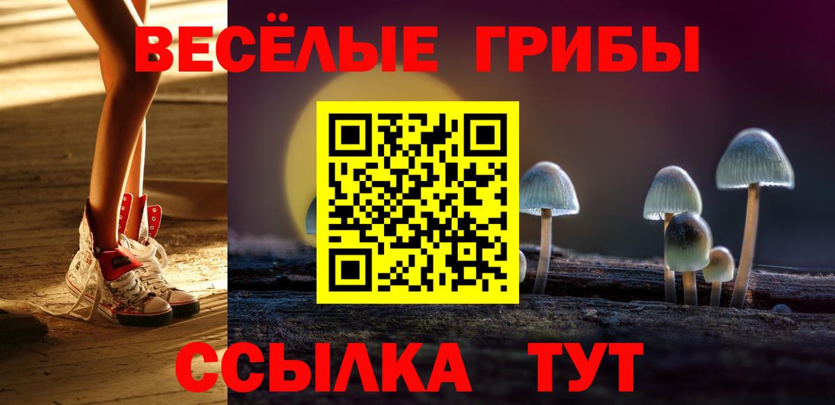 Псилоцибиновые грибы прущие грибы  Вход с VPN  Лесной  Галлюциногенные грибы MAGIC MUSHROOMS 