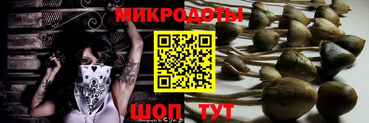 Псилоцибиновые грибы прущие грибы Лесной